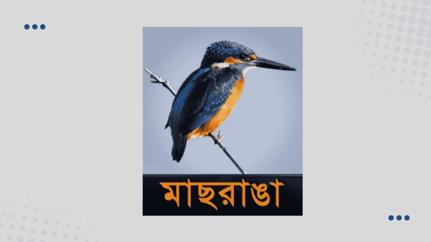 Massranga TV
